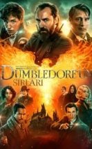 Fantastik Canavarlar Dumbledore’un Sırları – Fantastic Beasts: The Secrets of Dumbledore 720P izle