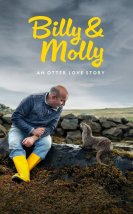 Billy & Molly: An Otter Love Story