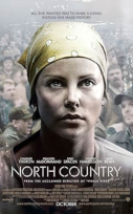 Tek Başına (North Country) izle