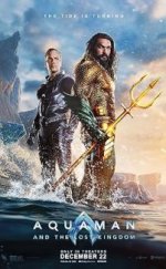 Aquaman ve Kayıp Krallık 2023 Türkçe Dublaj 720P