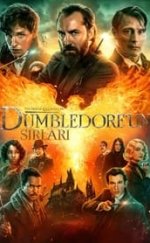 Fantastik Canavarlar Dumbledore’un Sırları – Fantastic Beasts: The Secrets of Dumbledore 720P izle