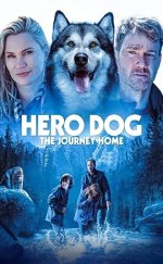 Hero Dog: The Journey Home