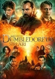 Fantastik Canavarlar Dumbledore’un Sırları – Fantastic Beasts: The Secrets of Dumbledore 720P izle