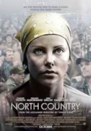 Tek Başına (North Country) izle